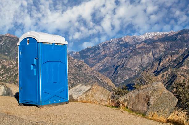 Best Portable Toilets with Baby Changing Stations  in Ishpeng, MI